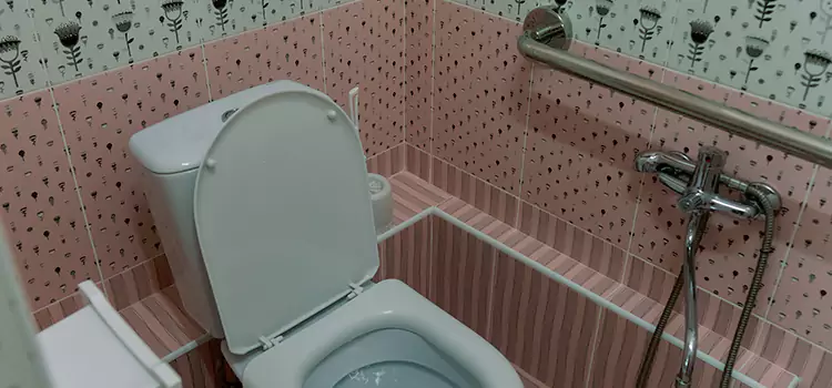 Meeting Diverse Needs With Accessible Restroom Solutions in Jacksonville, IL